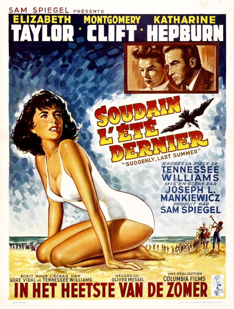 Suddenly Last Summer Canvas Art - (24 x 36)