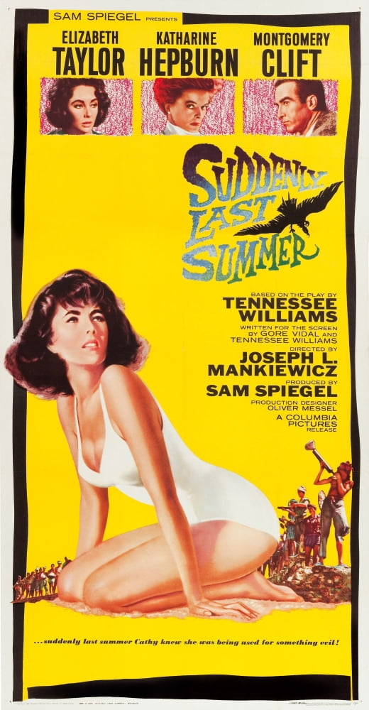 Suddenly Last Summer U Canvas Art - (24 x 36)