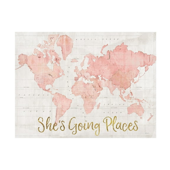 Trademark Fine Art Sue Schlabach Across The World Shes Going Places Pink Canvas Wall Art - 14x19