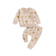 thumbnail image 1 of Suealasg 2Pcs Baby Girls Halloween Clothes Long Sleeve Crew Neck Pumpkin Flower Print Sweatshirt Sweatpants 3M 6M 1T 2T 3T Toddler Girls Fall Casual Outfit, 1 of 8