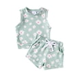 thumbnail image 1 of Suealasg Baby Girls Summer 2Pcs Outfits Set 3M 6M 9M 12M 18M 24M Short Sleeve Daisy Print Tank Tops and Elastic Waist Shorts Casual Clothes for Newborn Girls, 1 of 8