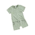 thumbnail image 1 of Suealasg Kids Girls Summer 2Pcs Clothes 6M 1T 2T 3T Toddler Baby Girls Casual Beach Outfits Floral Print Short Sleeve T-Shirt and Elastic Shorts Set, 1 of 9