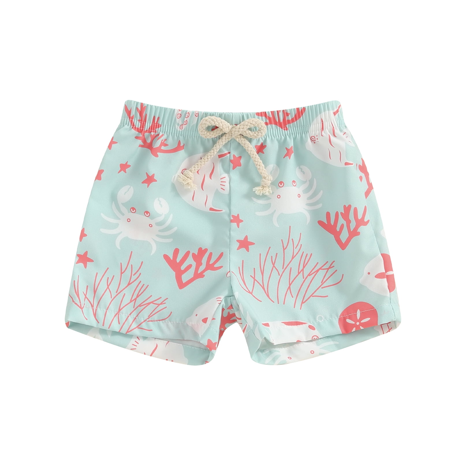 Toddler Boy Windsurfer Fish Print Boogie Board Swim Trunk