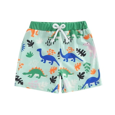 Suealasg Toddler Boy Swimwear Shorts Cartoon Dinosaur Print  Beach Shorts Summer Swimming Trunk