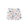 thumbnail image 1 of Suealasg Toddler Boys Swim Trunks 6M 1T 2T 3T 4T Kids Boys Tree Checkerboard Dinosaur Print  Swimming Shorts Infant Baby Boys Summer Beach Board Shorts, 1 of 7