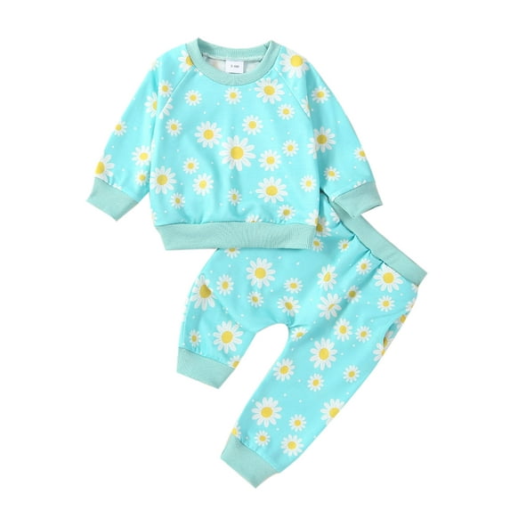 Suealasg Toddler Girl Spring Outfits Clothes 3M 6M 9M 12M 18M 24M Baby Girl Long Sleeve Floral Print Pullover + Pocket Pants Set 2Pcs Casual Autumn Clothing Set for Infant Newborn Girl