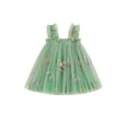 thumbnail image 1 of Suealasg Toddler Girls Princess Dress 6M 9M 1T 2T 3T Sleeveless 3D Flower Tulle A-line Dresses Infant Baby Girls Summer Party Dress, 1 of 7
