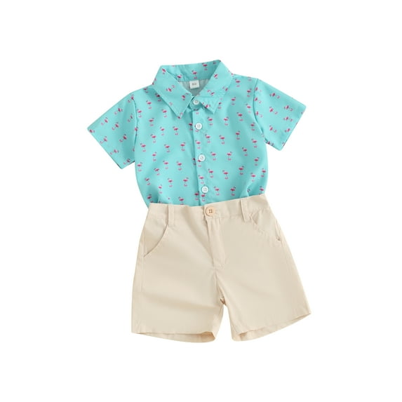 Suealasg Toddler Kids Boys Shorts Sets Hawaiian Outfit Short Sleeve Dinosaur Shark Print T-Shirt Tops +Elastic Waist Shorts Baby Boys Summer 2Pcs Clothes Set 0-4 Years