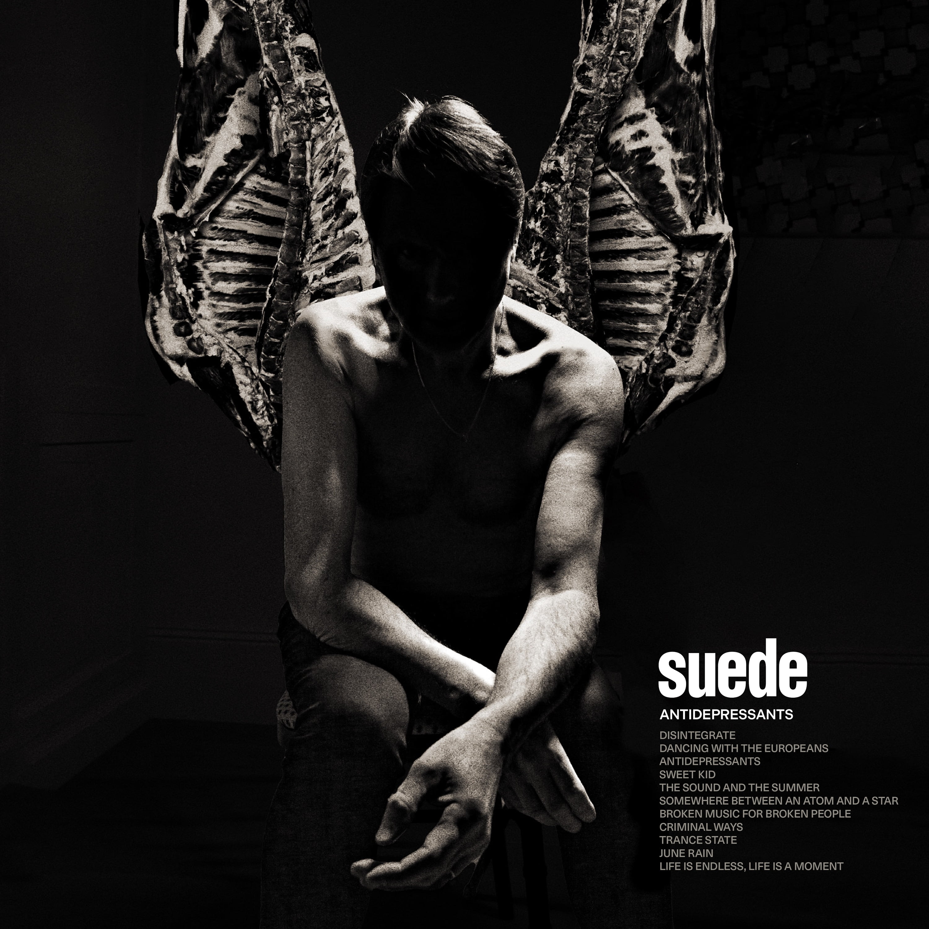 SUEDE