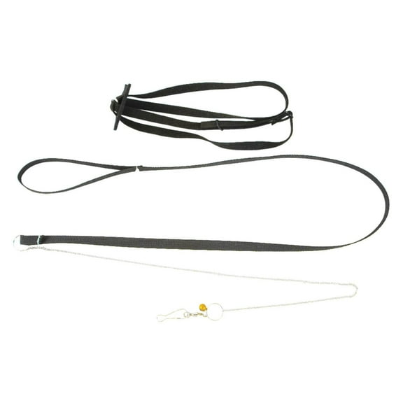 Suede Turtle Leash Adjustable With Whistle Comfortable Durable Prevent Loss For Small Turtles
