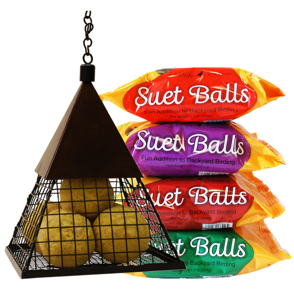 Geo Pyramid Suet Ball Feeder Combo Pack with 16 Suet Balls