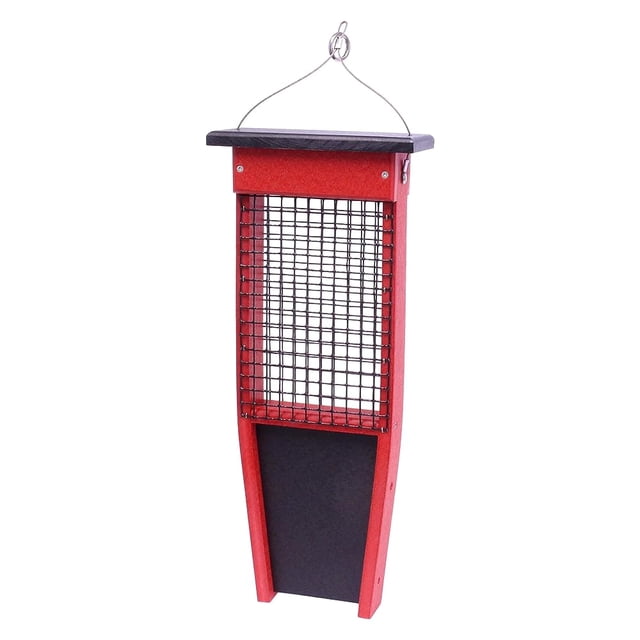 SuetCake Feeder Designed For Pileated Woodpeckers, Nuthatches And