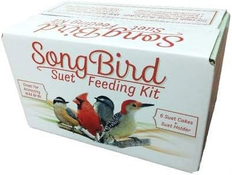 Suet Cake and Suet Feeder Wild Feeding Kit Combo 1 Suet Feeder and 6