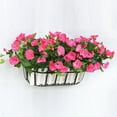 thumbnail image 1 of Sufanic Fake Morning Glory Simulation Petunia Wedding Home Decor Artificial Flowers,Rose Red, 1 of 9