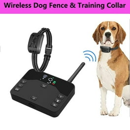Wireless dog containment systems walmart outlet