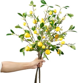 Sugagale Artificial Lemon Branches Set of 5, 27 Inch Faux Lemon Stems for Home Decor