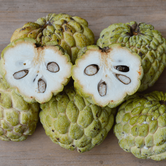 Sugar Apple Tree, Sweet Sugar Apple Plant Live, Annona Squamosa Fruit Tree Live Plant, 8 inches Tall, 3 inch Pot for Growing