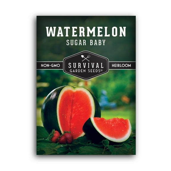 Sugar Baby Watermelon Seeds - Heirloom Full Sun Annual Fruit - 1 Pack