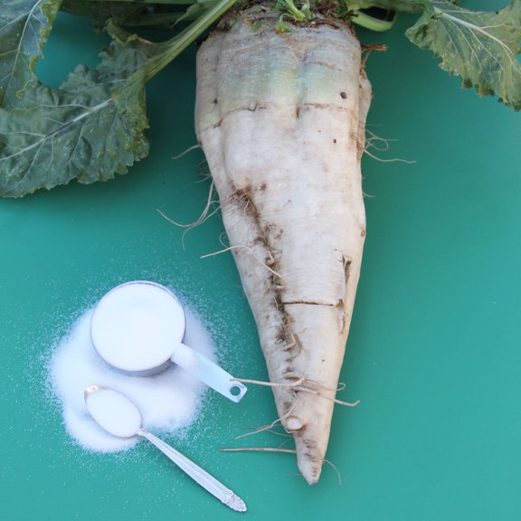 Sugar Beet Seeds - 1/4 LB ~6,000 Seeds - Non-GMO, Open Pollinated, Heirloom, Vegetable Gardening Seeds