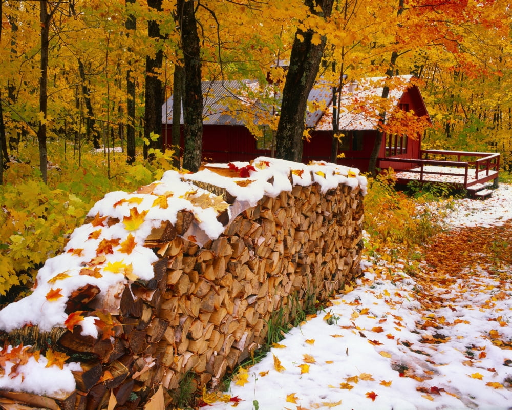 Sugar Cabin Saint-Ferreol-Les-Neiges Quebec Canvas Art - Yves Marcoux Design Pics (36 x 28)