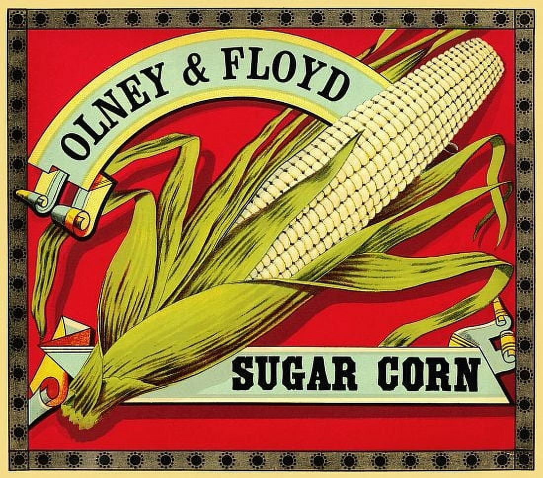 Sugar Corn Label Canvas Art - (36 x 54)