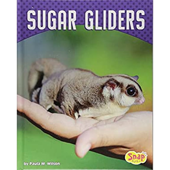 Pre-Owned Sugar Gliders (Hardcover) 1543530575 9781543530575