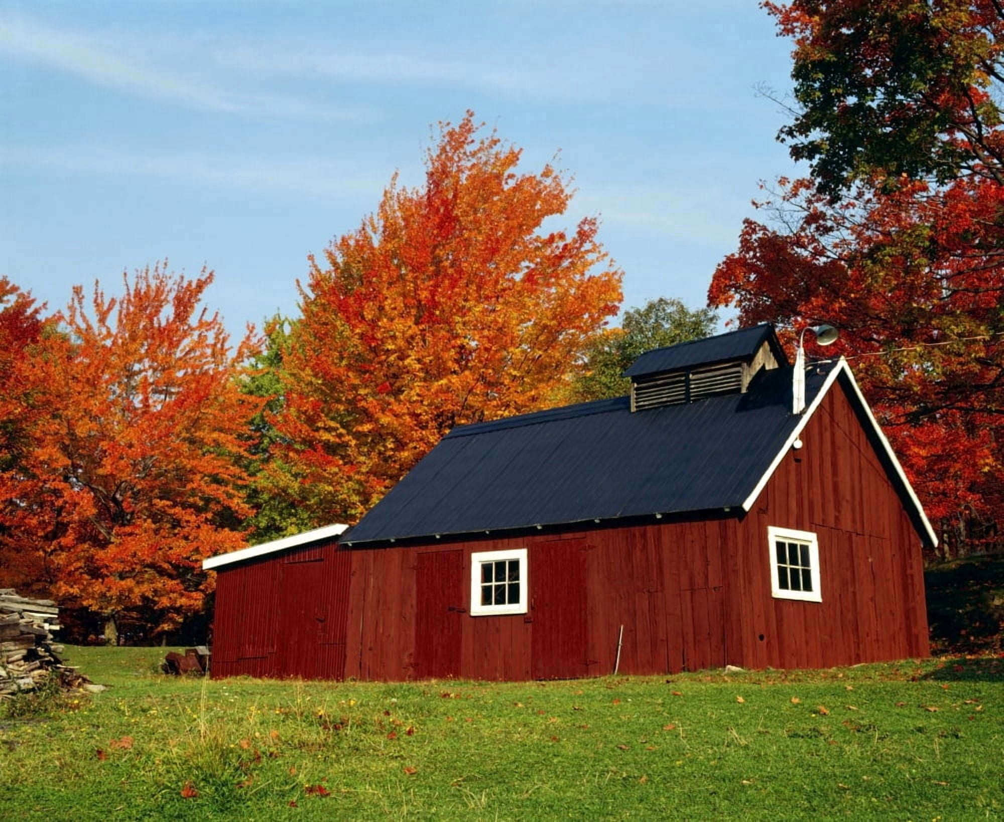 Sugar House With Fall Trees Canvas Art - David Chapman Design Pics (16 x 13)