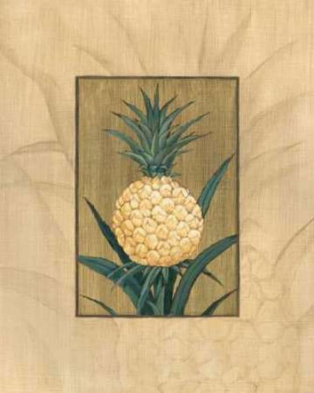 Sugar Loaf Pineapple Canvas Art - Paul Brent (24 x 30)