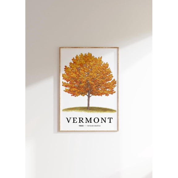Sugar Maple Tree Poster: Vermont State Symbol Art, Unframed Canvas Size 8x12