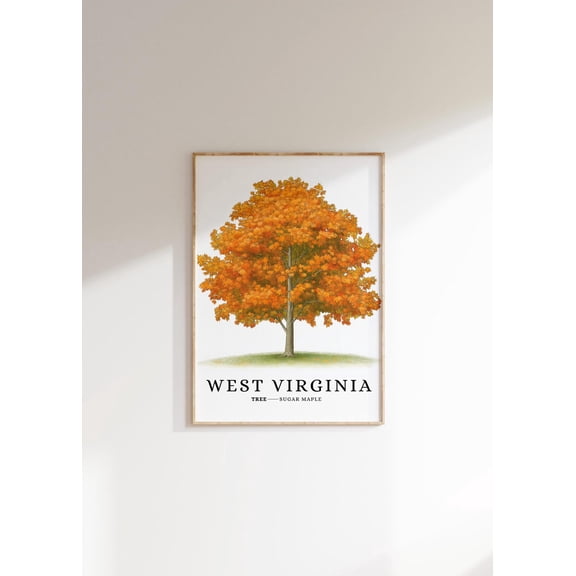 Sugar Maple Tree Poster: West Virginia State Symbol Art, Stretched Canvas Size 8x12