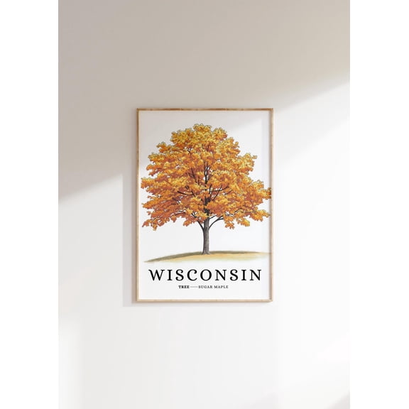 Sugar Maple Tree Poster: Wisconsin State Symbol, Botanical Art, Stretched Canvas Size 8x12