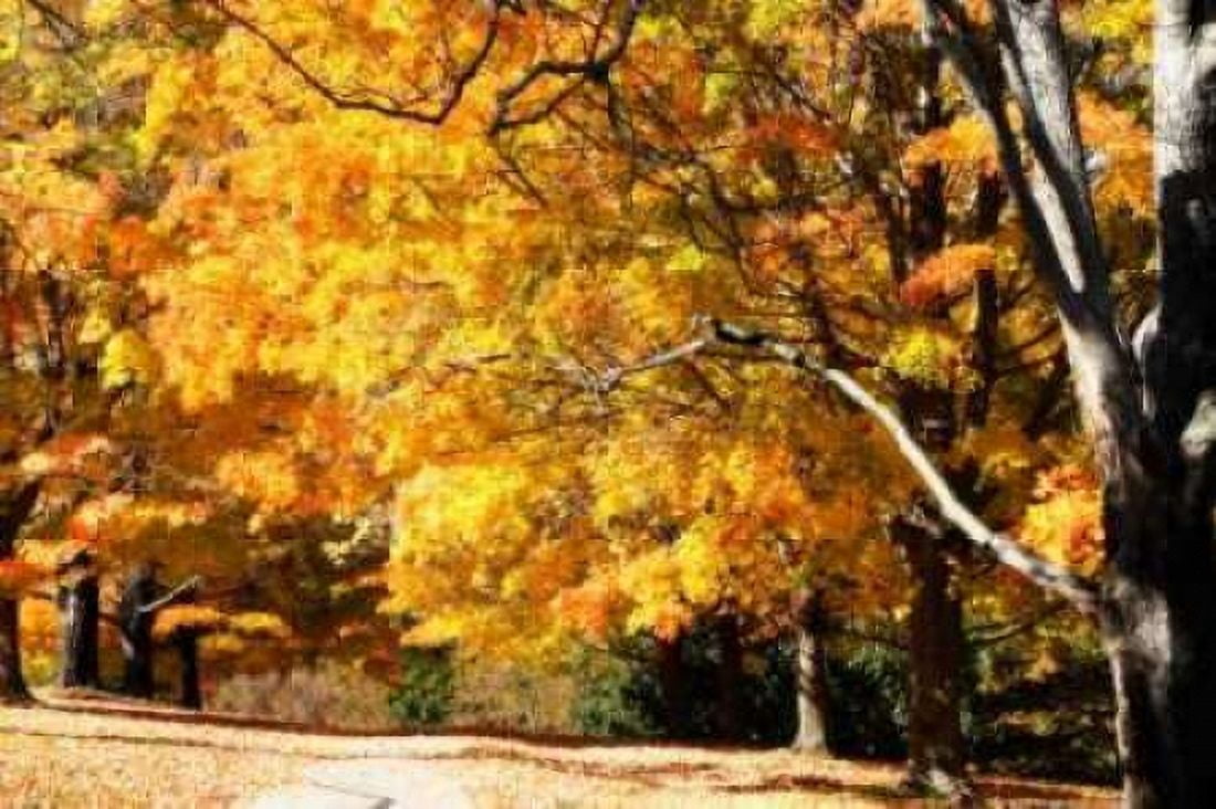 Sugar Maples II Canvas Art - Alan Hausenflock (20 x 28)