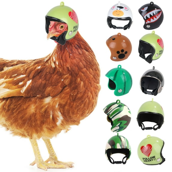 SugarBloom Funny Chicken Helmet Costume for Pets, 1PC Hen Hard Hat Bird Hat Novelty Photo Prop for Chicken Duck Bird, Pet Supplies Gift,B