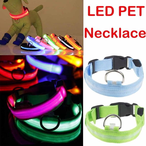 SugarBloom Nylon LED Dog Collar, Solid Glow Light Up Collar with Adjustable Strap, Night Safety Reflective Pet Necklace for Walking Running,Green XS