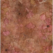 Sugared and Bronzed-2-5L Poster Print - Melissa Renee 12 x 12