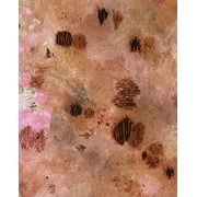 Sugared and Bronzed-8L Poster Print - Melissa Renee 24 x 36