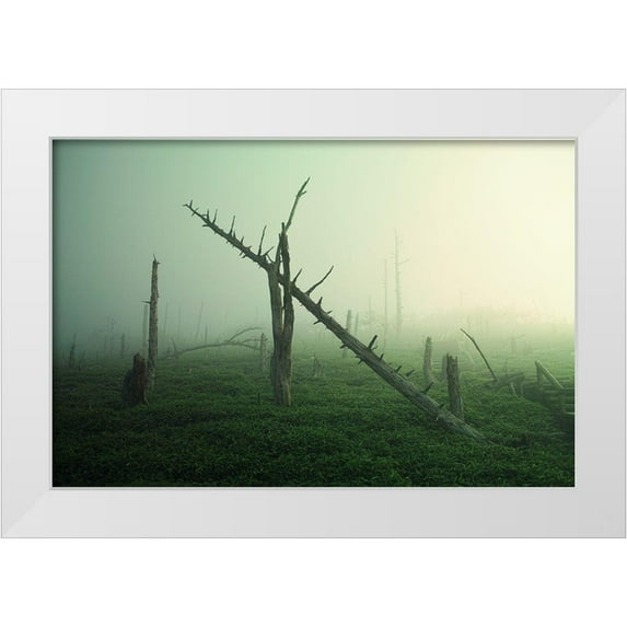 Sugimoto, Koji 24x17 White Modern Wood Framed Museum Art Print Titled - Beautiful Rot