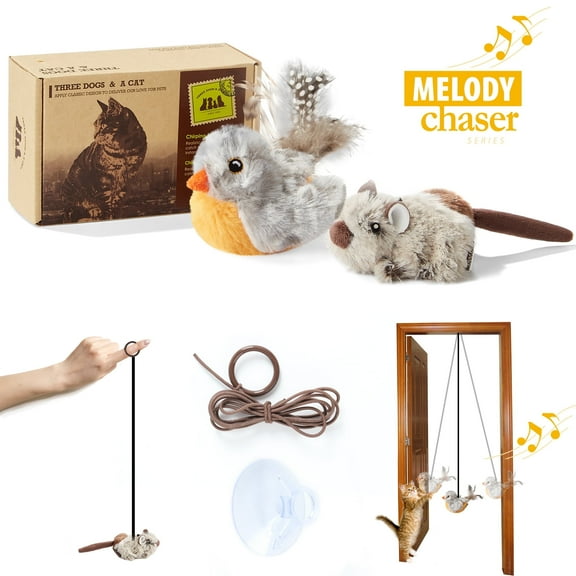 Suhaco Interactive Cat Toys Sound Melody Chaser Kitten Feather Toy Relieve Boredom Bird and Mouse Two Piece Set Play for Indoor Cats (Gray)