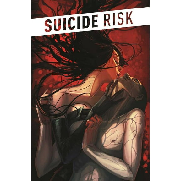 Suicide Risk Vol. 1 (Paperback)