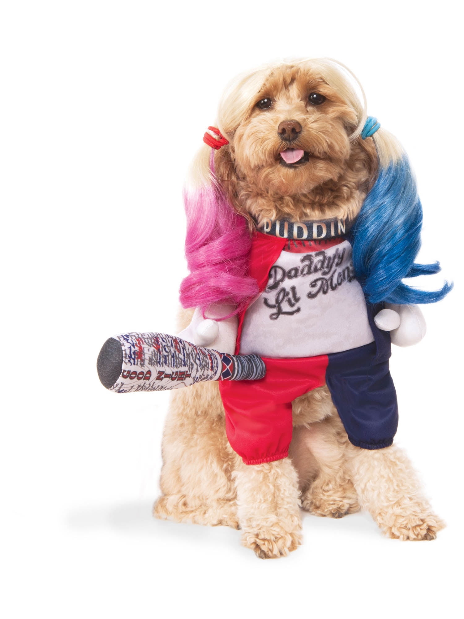 Harley shop dog sweater