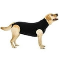 thumbnail image 1 of Suitical Recovery Suit Dog, XX-Large, Black, 1 of 5