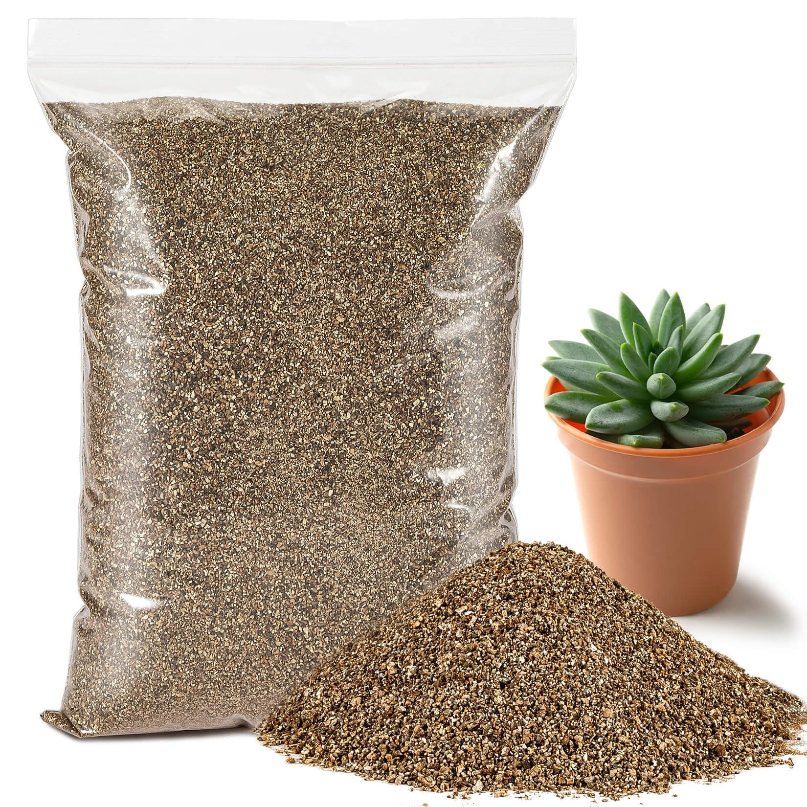 Microseed WR: la risposta alla germinabilita’ del colza