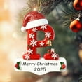thumbnail image 1 of Sulaicai Personalized Initial Christmas Ornaments 2025, 2D Acrylic Personalized A-Z Letter Hanging Ornament for Christmas Tree, Xmas Gifts for Family Friends (P), 1 of 9