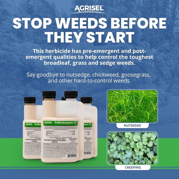 Sulfentrazone 4F Weed Killer, Pre-Emergent and Post-Emergent, Broad- Control, Stops 100+ Weeds, Pet Safe, Includes 3-Pack of  Protective Gloves, 8 Ounces