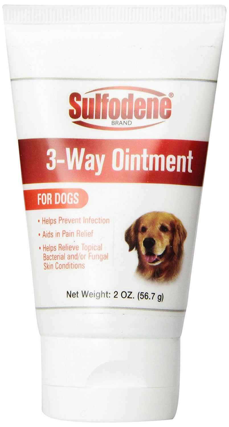 Sulfodene Dog Wound Care Ointment, Relieves Pain & Prevents Infection For Dog Cuts, Scrapes, Bites and Injuries, 2 Ounce