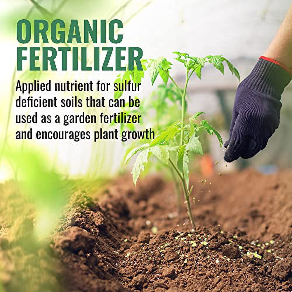 OMRI Listed Organic Gypsum Powder (Calcium Sulfate) | 1/2 Lb | Soil Conditioner & Fertilizer