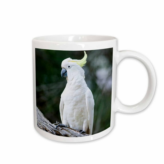 3drose, Sulfur-crested Cockatoo Bird, Australia - Au01 Mzw0322 - Martin Zwick, 15oz Mug