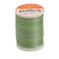 thumbnail image 1 of Sulky Blendables Thread 12wt 330yd-Green Tea, 1 of 2