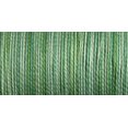 thumbnail image 1 of Sulky Blendables Thread 12wt 330yd-Cactus, 1 of 2