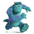 thumbnail image 1 of Sulley (Monsters University), 1 of 3
